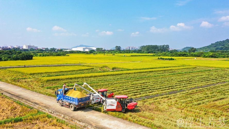 【在希望的田野上】各地抢抓农时有序推进农业生产 【在希望的田野上】各地抢抓农时有序推进农业生产