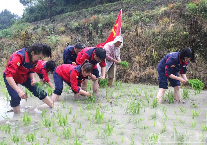 【在希望的田野上】各地抢抓农时有序推进农业生产 【在希望的田野上】各地抢抓农时有序推进农业生产